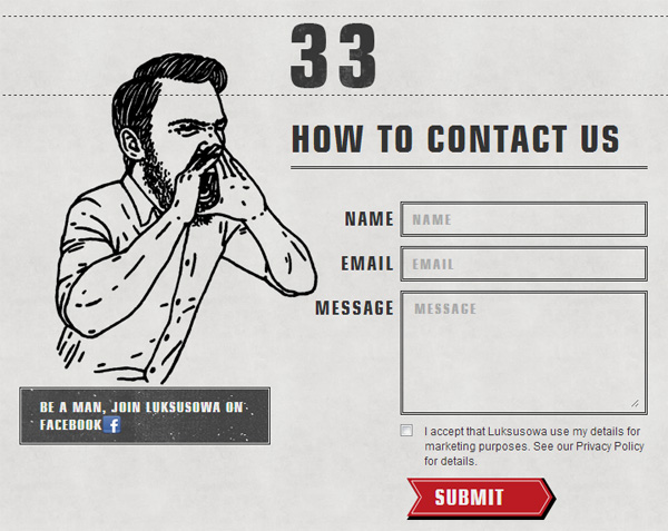 13_damndigital_25-creative-web-form-design_Luksusowa
